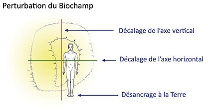 biochamp perturb