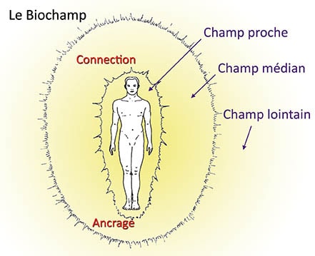 biochamp